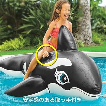 ムラサキイルカさん専用 Amazon.co.jp: INTEX インテックス リルシードルフィン